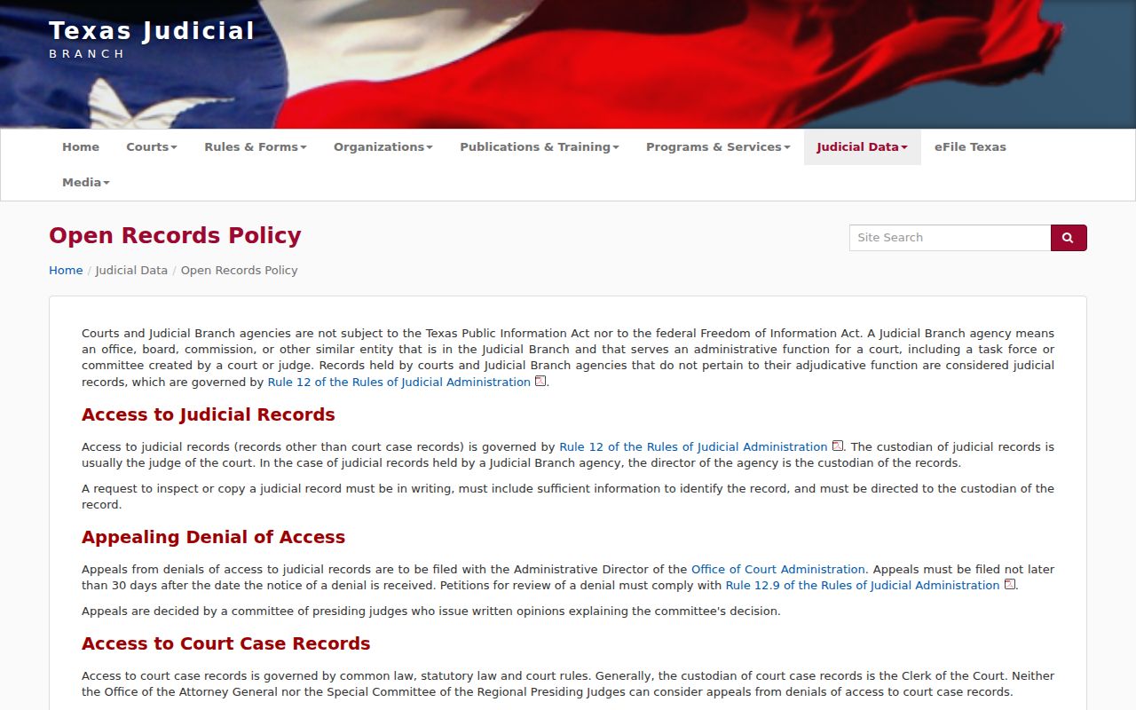 Upshur County criminal docket judicial records policy